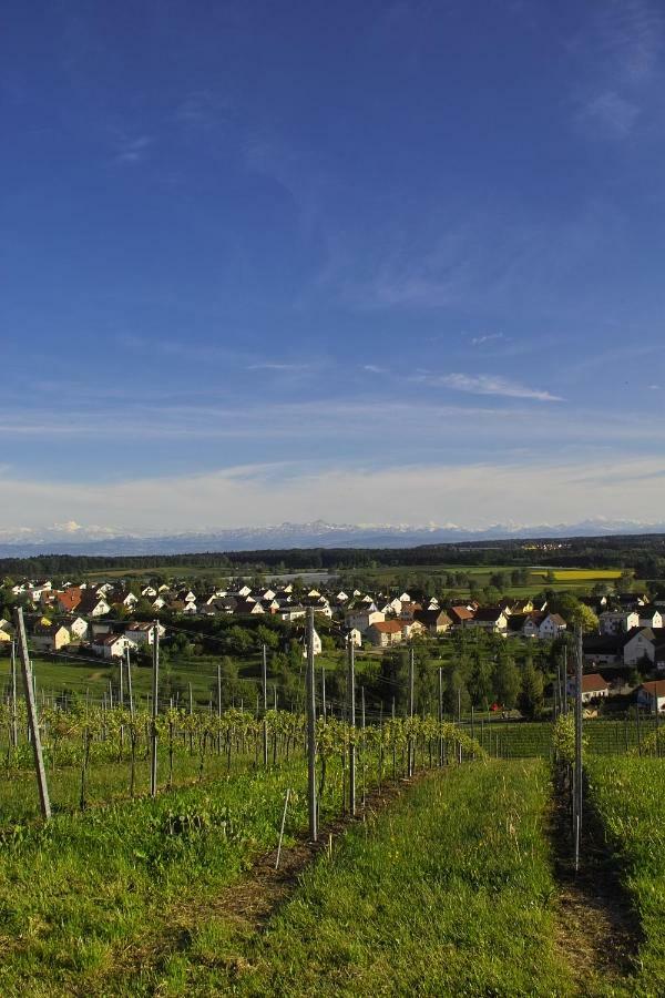 Fewo Schillerstrasse Markdorf Exterior photo